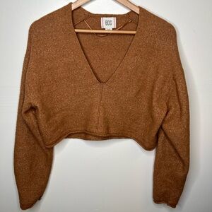 BDG Urban Outfitters Camel Cropped V-neck Sweater, S